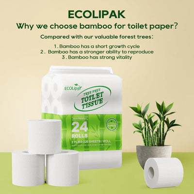 Bamboo Toilet Paper, Septic Safe Toilet Tissue, 24 Double Rolls, 320 Sheets per Roll, Tree Free, Non Toxic, 2 Ply, Soft and Absorbent, Eco Friendly Dye-Free Paper