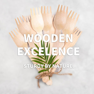 Disposale Biodegradable Wooden Forks – 360 Count Eco-Friendly Compostable Utensils